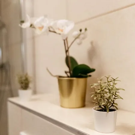 Minilux - Prater22 * Budapesta